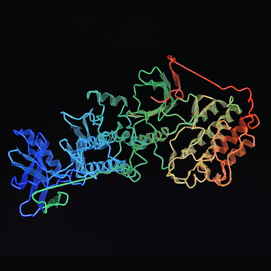 Multi coloured model of protein structures